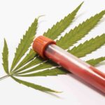 Virginia Department of Forensic Science Releases Report on THC Blood Detection