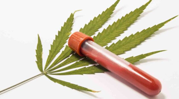 Virginia Department of Forensic Science Releases Report on THC Blood Detection