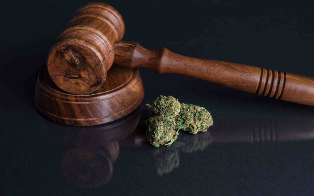 New York Judge Strikes Down Cannabis Marketing Rules