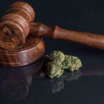 New York Judge Strikes Down Cannabis Marketing Rules