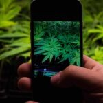 Colorado Bill Banning Social Media MJ, Drug Posts Raises Constitutional Concerns