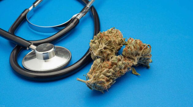 Kansas Medical Cannabis Proposal Dead for 2024