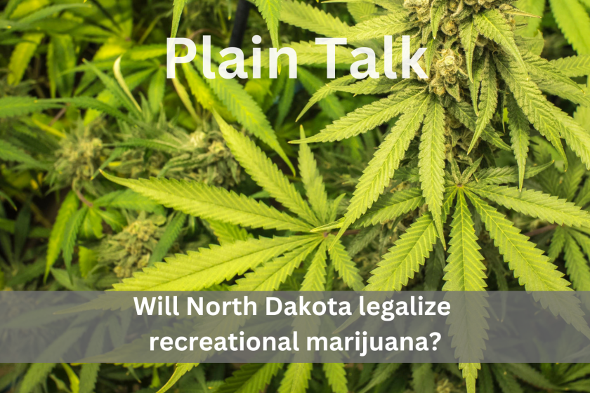 Plain Talk: Will North Dakota legalize recreational marijuana?