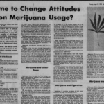 Hawaii Has Been Debating Marijuana Legalization For Half A Century
