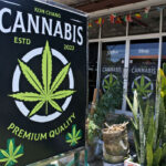 Thailand’s Cannabis Re-Criminalization Risks Street Protests and Industry Lawsuits