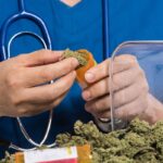 How cannabis and psilocybin might help some of the 50 million Americans experiencing chronic pain