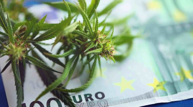 Twenty-One of 27 European Union Countries Legalized Medical Cannabis, Report Highlights