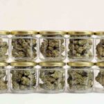 Monitoring Weed’s Business Landscape