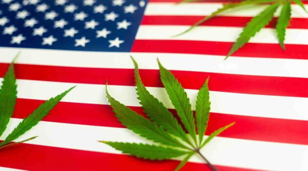 DEA Moves To Reclassify Cannabis Under Schedule III in Historic Move, Report Indicates