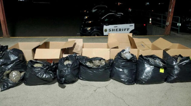 Nearly 150 pounds of marijuana found during Thurston County traffic stop