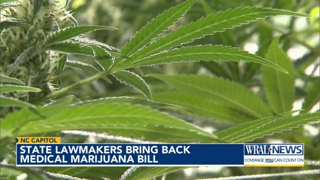 New version of NC medical marijuana bill would ban recreational marijuana in the future