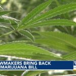 New version of NC medical marijuana bill would ban recreational marijuana in the future