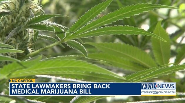 New version of NC medical marijuana bill would ban recreational marijuana in the future