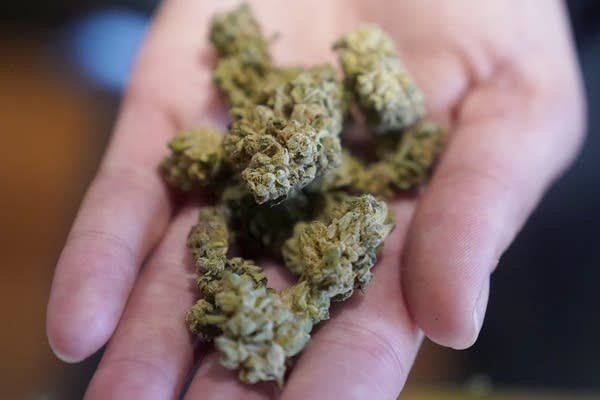 A new marijuana dispensary opening this week will be the closest to the Twin Cities
