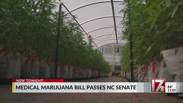 NC Senate approves bill legalizing medical marijuana 36-10; measure goes to House next
