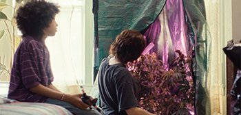 New Trailer for 'Grassland' Film About Marijuana Starring Mia Maestro