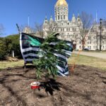 CT confronts controversy over cannabis cash and social equity