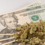 Florida’s Legalization Campaign Has Raised More Money Than Any Marijuana Ballot Measure In History