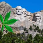 South Dakotans Will Vote On Legalizing Cannabis In November Election, Marking Third Attempt