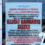 Nine Rochester shops raided in state cannabis crackdown