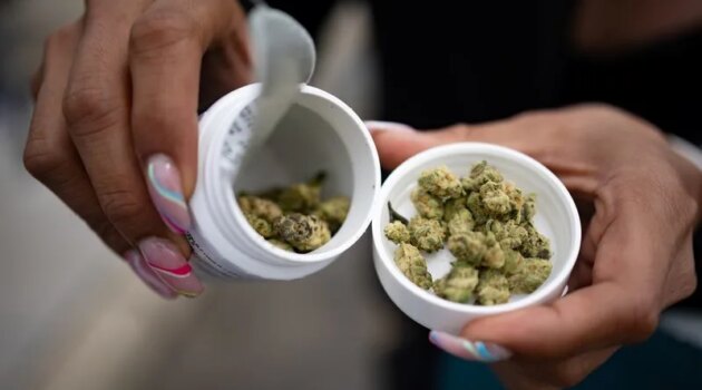 US, Canadian pot firms eye Germany for growth as market stagnates at home