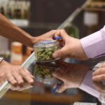 Only 27% Of U.S. Cannabis Businesses Are Profitable, Survey Shows