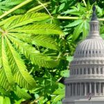 US Lawmakers File Bipartisan Bill To Expunge Marijuana Convictions