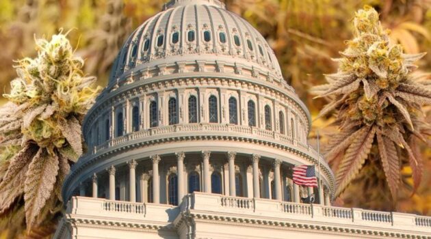 House Lawmakers Vote To Block Federal Marijuana Rescheduling