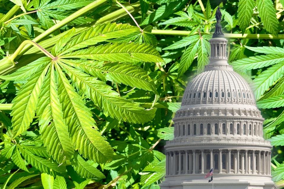 US Lawmakers File Bipartisan Bill To Expunge Marijuana Convictions