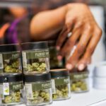 Federal court dismisses challenge to cannabis prohibition: analyzing Canna Provisions case