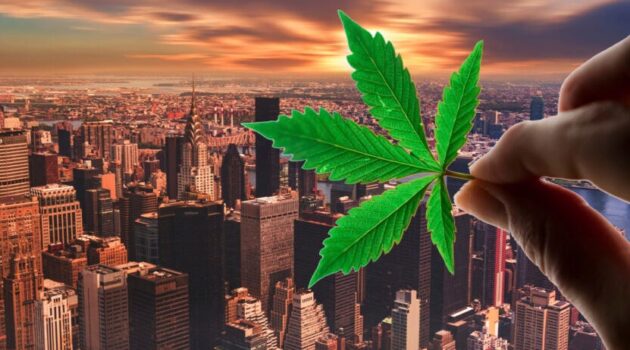 NY Cannabis Stores Get Green Light For Flashy Ads And Discounts As State Approves Over 100 New Permits