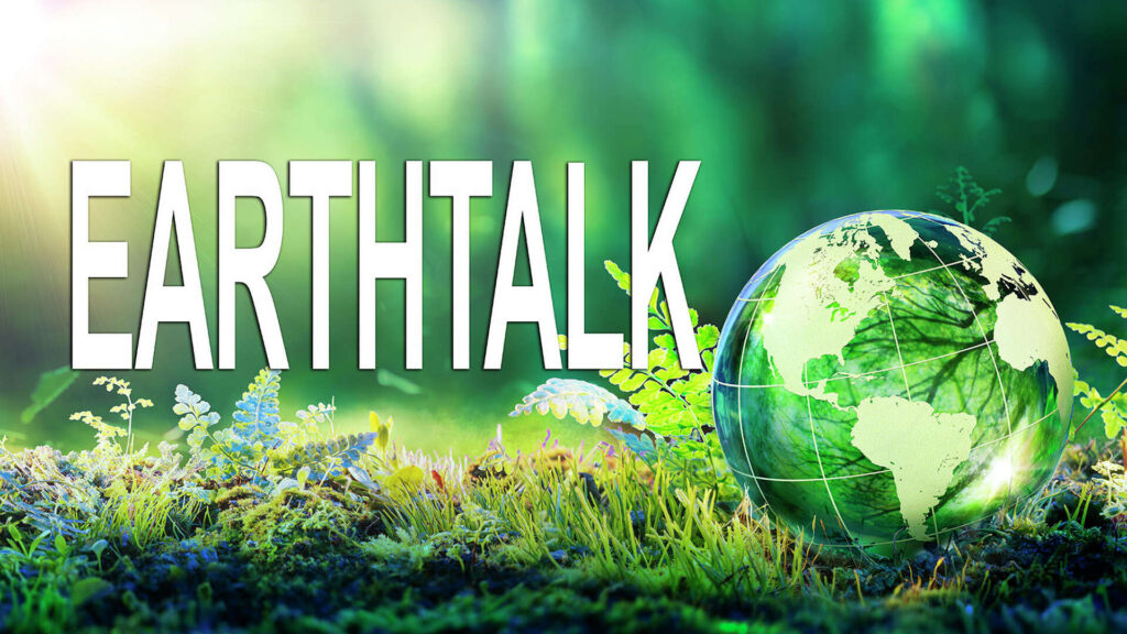 Commentary: The environmental impacts of cannabis — EarthTalk