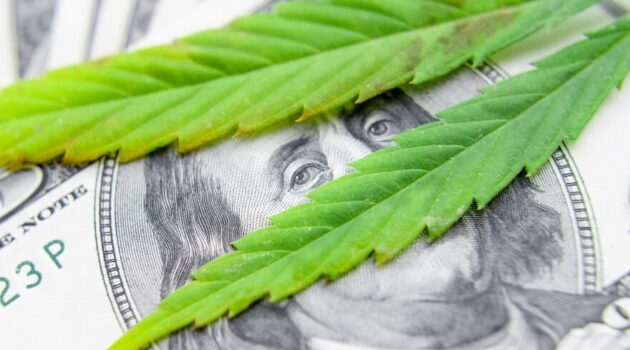 Marijuana industry finds it’s easier to grow cannabis than capital