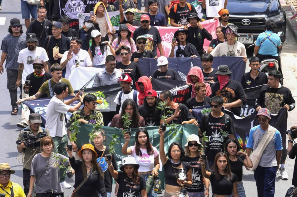 Cannabis advocates in Thailand protest a proposal to ban again its general use