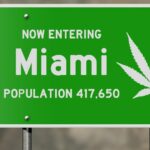 Polls Disagree On Fate Of Florida Marijuana Legalization Initiative