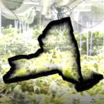 Five St. Lawrence County smoke shops closed for alleged illegal marijuana sales