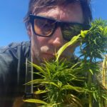 Can a Weed Hustler Go Legit?