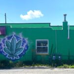 Stores openly selling marijuana are flourishing in Southwest Virginia. Here’s why.