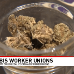 Ballot Measure 119 could legalize cannabis worker unions