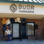 Budr loses second bid to open Bridgeport cannabis dispensary at amphitheater