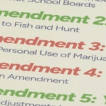 Florida Republicans split on legalization of marijuana after Trump's support