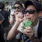 Japan To Criminalize Recreational Cannabis And Legalize For Medical Use