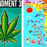 Everything You Need to Know About Florida's Marijuana Legalization Ballot Initiative, Amendment 3