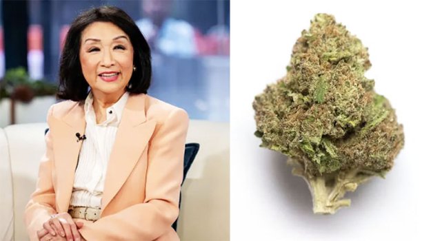 Connie Chung on the Weed Strain Named for Her: 'I'm Easy to Grow'