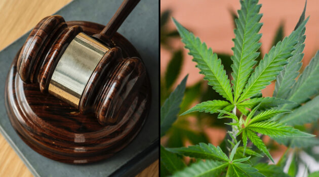 Marijuana Companies File Opening Appellate Brief In Case Challenging Federal Prohibition