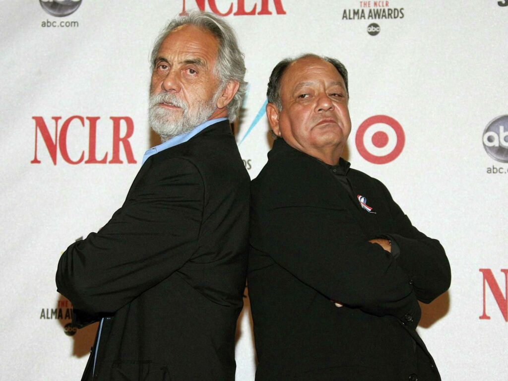 Cheech and Chong sue California over new marijuana regulation