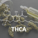 How hemp and THCA is rewriting the rules of cannabis