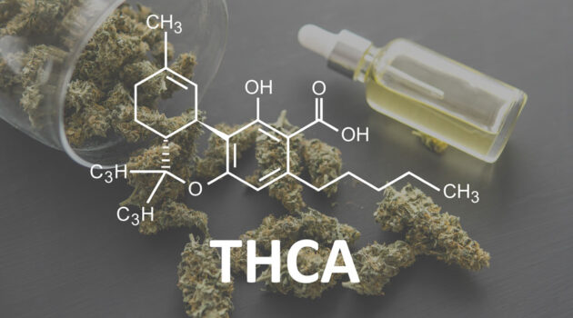 How hemp and THCA is rewriting the rules of cannabis