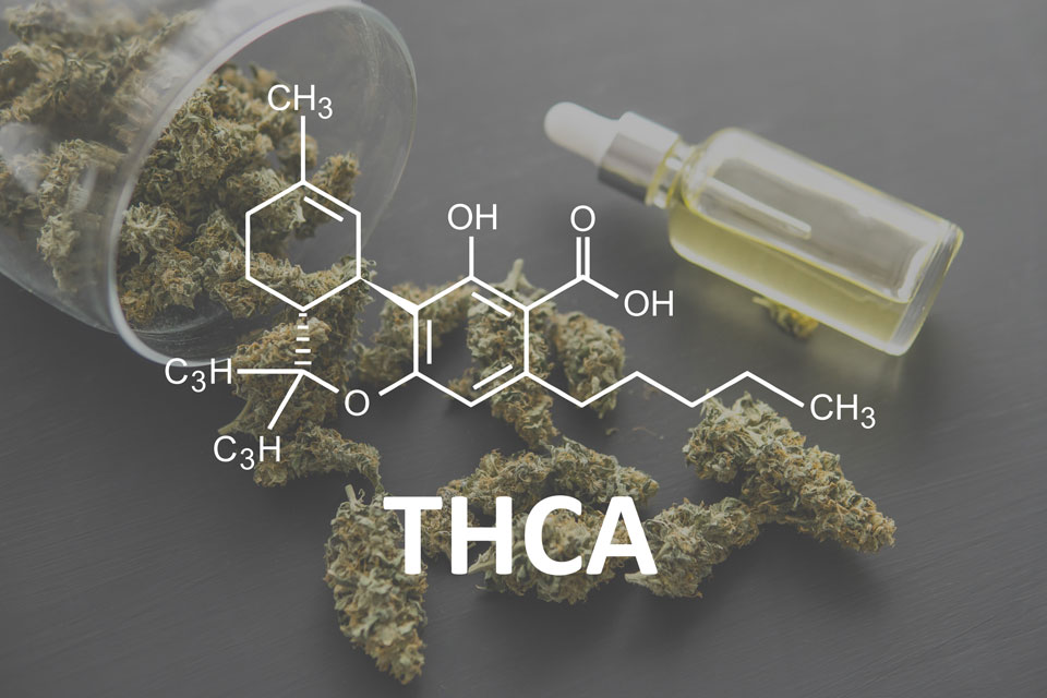 How hemp and THCA is rewriting the rules of cannabis