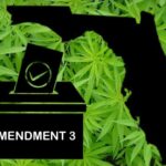 Cannabis companies stoke Amendment 3 supporters with another $11 million